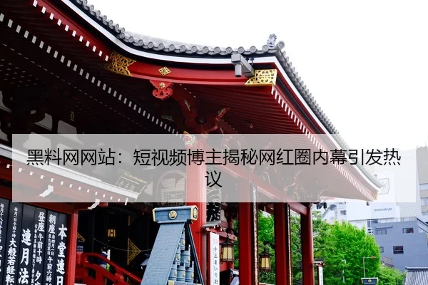 hei-liao-wang-wang-zhan-duan-shi-pin-bo-zhu-jie-mi-wang-hong-quan-nei-mu-yin-fa-re-yi-2-784.jpg